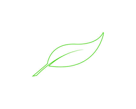 green leaf logo vector