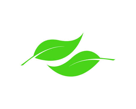 green leaf logo vector