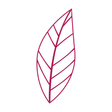 tobacco leaf logo illustration design template - vectorのイラスト素材