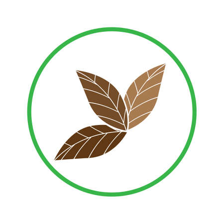 tobacco leaf logo illustration design template - vectorのイラスト素材