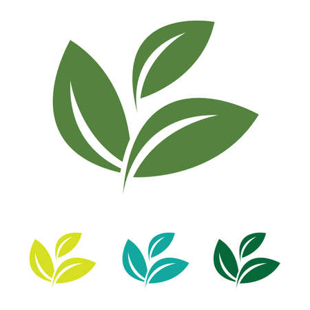 eco green leaf logo vectorのイラスト素材