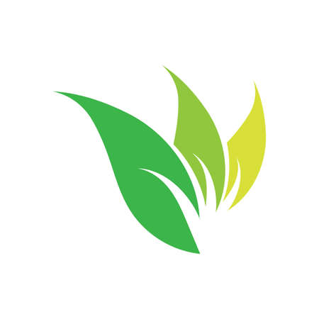 natural leaf logo vector illustration design templateのイラスト素材