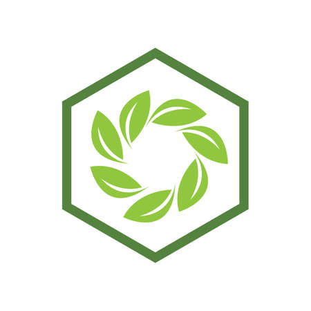 hexagon leaf vector illustration design templateのイラスト素材