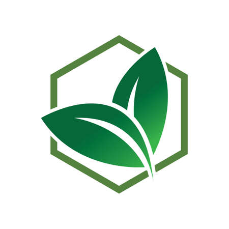 hexagon leaf vector illustration design templateのイラスト素材
