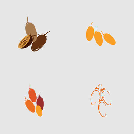 vector illustration of Dates Fruits set logo designのイラスト素材