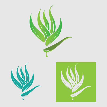 collection Aloe Vera logo template,Green leaf aloe vera labelのイラスト素材