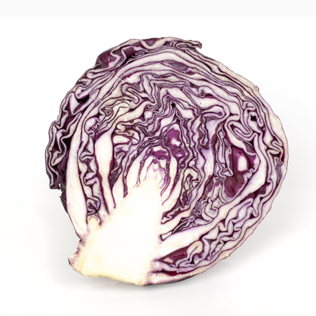 Red cabbage on white  backgroundの写真素材