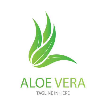 Aloe vera logo vector ilustration design templateのイラスト素材