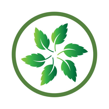 Logos of green Tree leaf ecology nature element vector