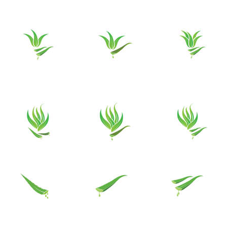 Set of aloevera logo template vector icon conceptのイラスト素材