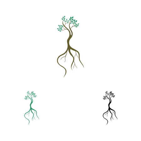 vector illustration logo and symbol of Mangrove trees and mangrove Forest Ecologyのイラスト素材
