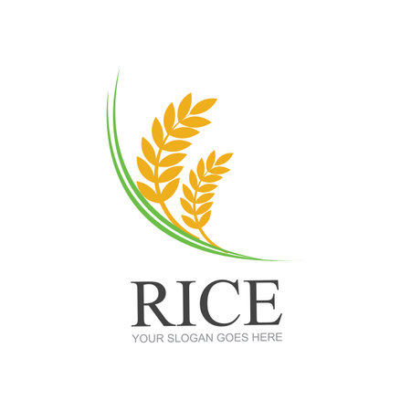 Rice or wheat grain agriculture logo design for your business and product names or for all your ideasのイラスト素材