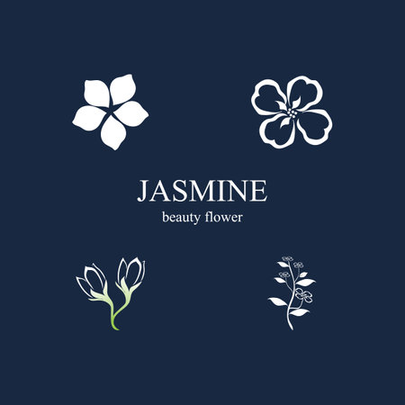 beautiful and graceful jasmine flowers on a blue backgroundのイラスト素材