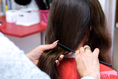 Barbershop. Haircut female hair. Women haircutの写真素材