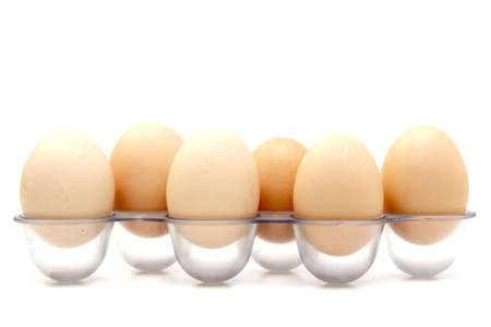 Fresh Eggs in the refrigerator tray. Six homemade eggs. White background. isolate.の写真素材
