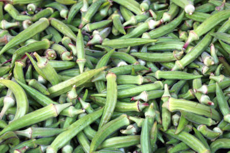 large group of okraの写真素材