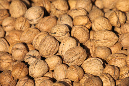 large group of walnuts