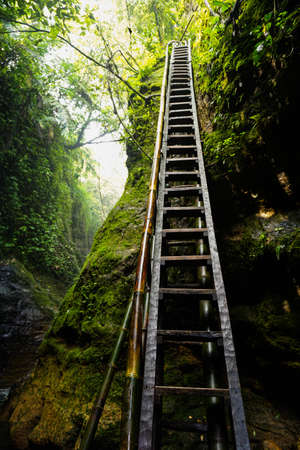 wooden stairs near a very beautiful waterfall. Halimun Salak Bogorの写真素材