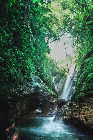 Fresh small waterfall through the tropical jungleの写真素材