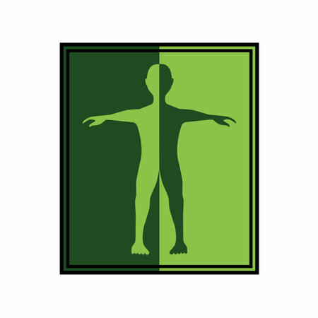 Vector illustration design of human body anatomy in a standing pose in a combination of dark green and light greenのイラスト素材