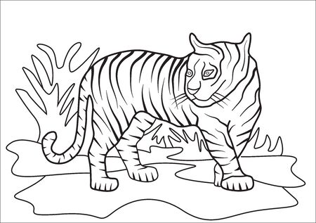 Tiger coloring book for childrenのイラスト素材