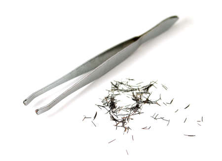 tweezers with plenty of cilia or eyebrowsの写真素材