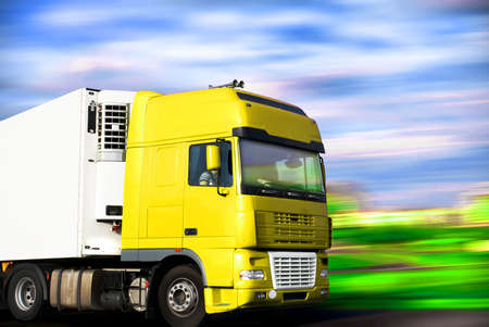 yellow headの写真素材