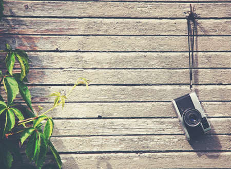 Retro vintage camera hanging on wooden natural boards with green plant. Copy spaceの写真素材