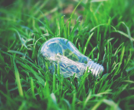 Light bulb in a grass. Environment, eco technology, energy and idea concept.の写真素材
