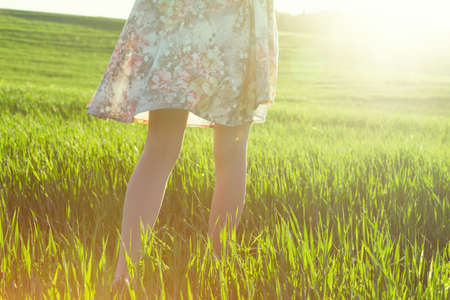 girls legs walking in field in morning sun lightの写真素材
