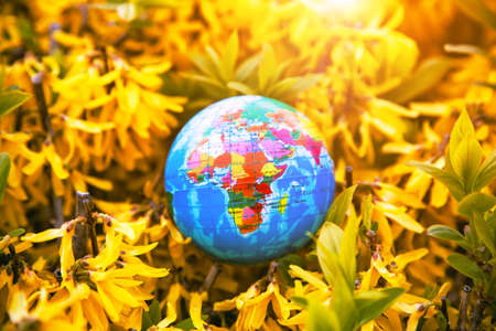 Planet earth globe model in flowers. Ecology, atmosphere and environment conceptの写真素材
