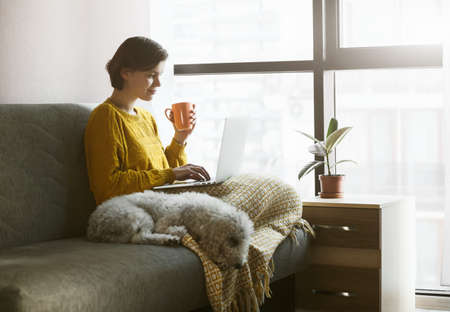 Woman working with laptop at home quarantine. Coffee or tea, dog and warm plaid for comfortable workplace. Stay at home campaign.の写真素材