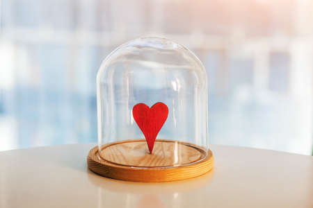 Wooden red heart under glass cap. Symbol of keeping love. Saving or protecting love concept. の写真素材