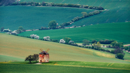 Old windmill on a background of green hills and white trees in Kunkovice.South Moravia.Czech Republic.の写真素材