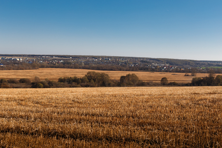 The Sloping Yellow Feld of Wheat. Landscape, Nature, Agricultureの写真素材