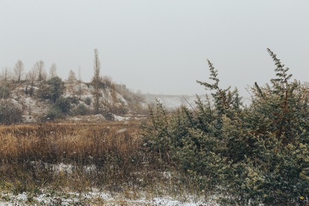 Winter landscape with yellow grass in the foreground, snowの写真素材