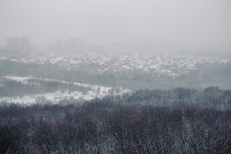 view of the city in a blizzard of snow with forest in the foregroundの写真素材