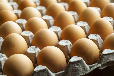 Raw chicken eggs in egg box, close-up