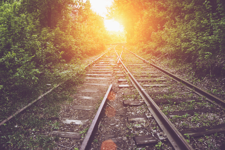 Old vintage railroad among Green trees and shrubs at sunset, industrial landscapeの写真素材