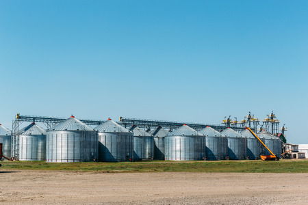 Big industrial Silo Storage Tanks on blue sky background for copy space. Storage Compartment, Agriculture warehousesの写真素材