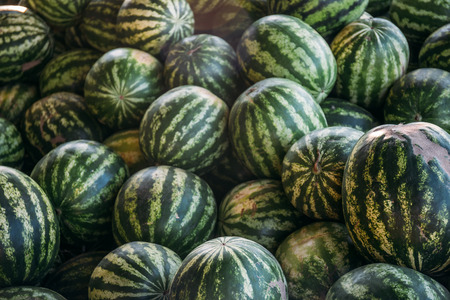 Group of big sweet green watermelons, watermelon backgroundの写真素材