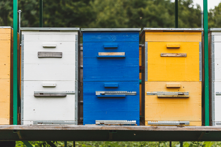 Multicolored hives for bees, apiary, beekeeping concept