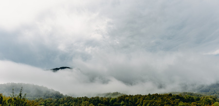 Mountains in  foggy clouds, misterious landscapeの写真素材