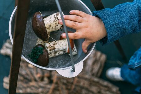 Hand of a child puts mushrooms in a bowler hat, top view, hiking with children conceptの写真素材