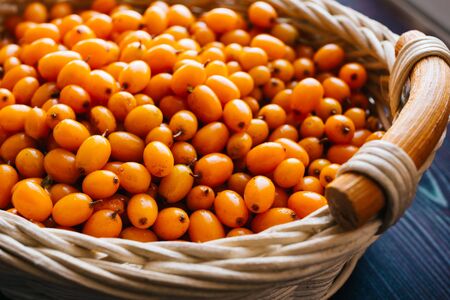 Close-up of fresh raw Buckthorn berries in a wooden basket, selective focus, tonedの写真素材