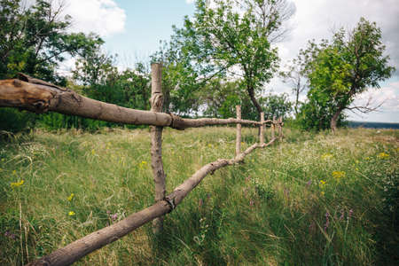 Rural landscape. Green field, wooden fence and grassの写真素材