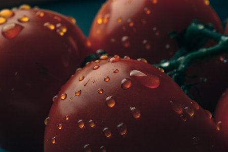 Fresh wet tomatoes in drops of water close up, macro photo, tonedの写真素材