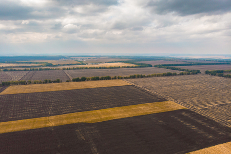 Aerial panoramic view of agricultural farm fields or meadows in countryside or farmland, shot from droneの写真素材