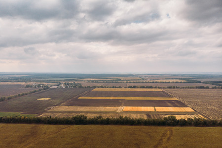Aerial panoramic view of agricultural farm fields or meadows in countryside or farmland, shot from droneの写真素材
