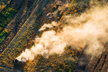 Burning dry grass with white smoke on farm field in autumn, agricultural controlled fire, aerial or top view, tonedの写真素材